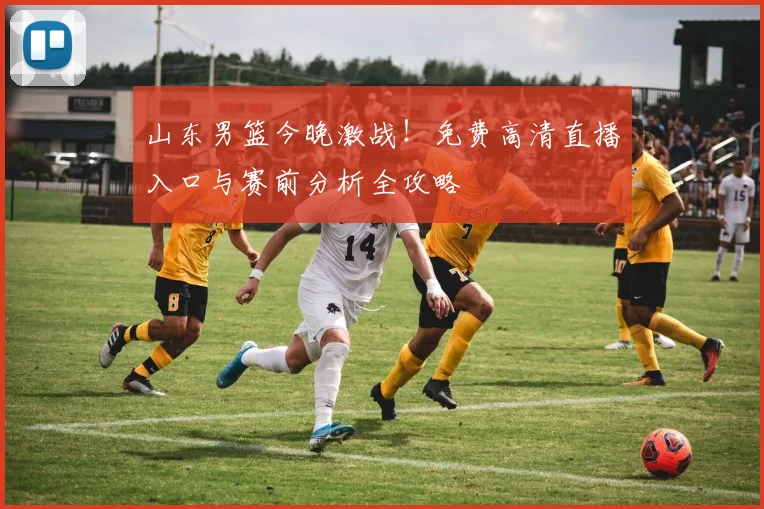 山东男篮今晚激战！免费高清直播入口与赛前分析全攻略